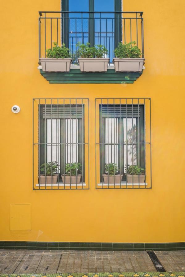Apartament Wello *